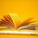 How Legal Reasoning Shapes Constitutional Decisions