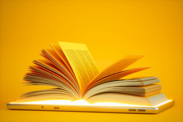 How Legal Reasoning Shapes Constitutional Decisions