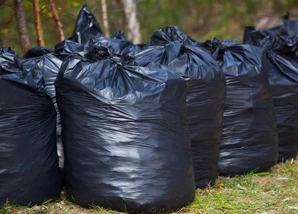 Affordable Melrose MA Trash Removal with Quick Service