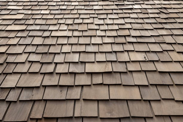 Innovative Roofing Companies Bronx Offering Modern Roofing Solutions