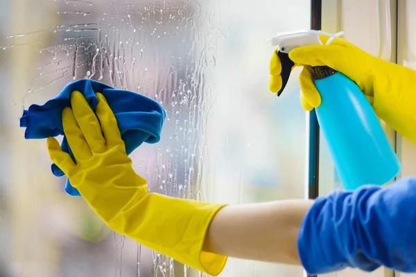 Why Regular Window Cleaning Improves Your Home's Appearance