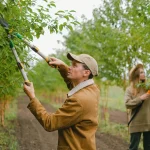 Transform Your Garden with tree surgeon Heald Green Expert Assistance