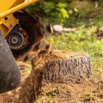 Tree Removal Service Mobile with Honest and Reliable Service