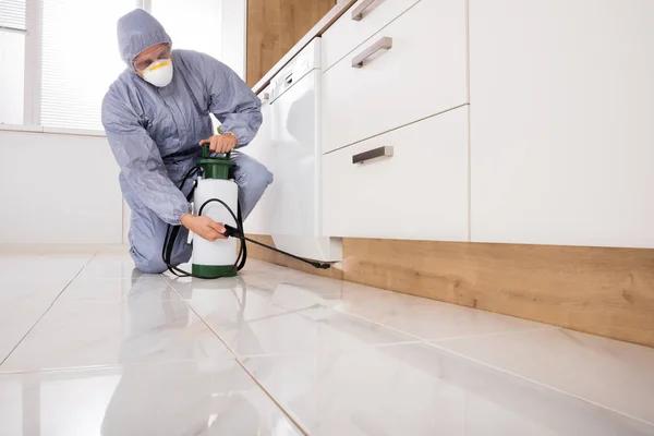 Trusted Lawn Pest Control Experts for Long-Term Yard Protection
