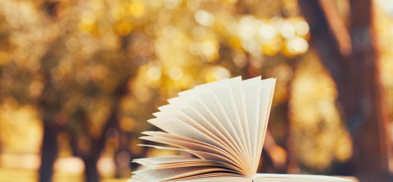 Reflexive Leadership: Organising in an Imperfect World – Book Overview