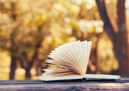 Reflexive Leadership: Organising in an Imperfect World – Book Overview