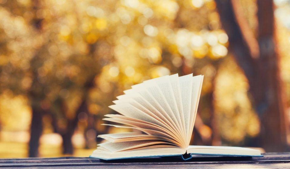 Reflexive Leadership: Organising in an Imperfect World – Book Overview